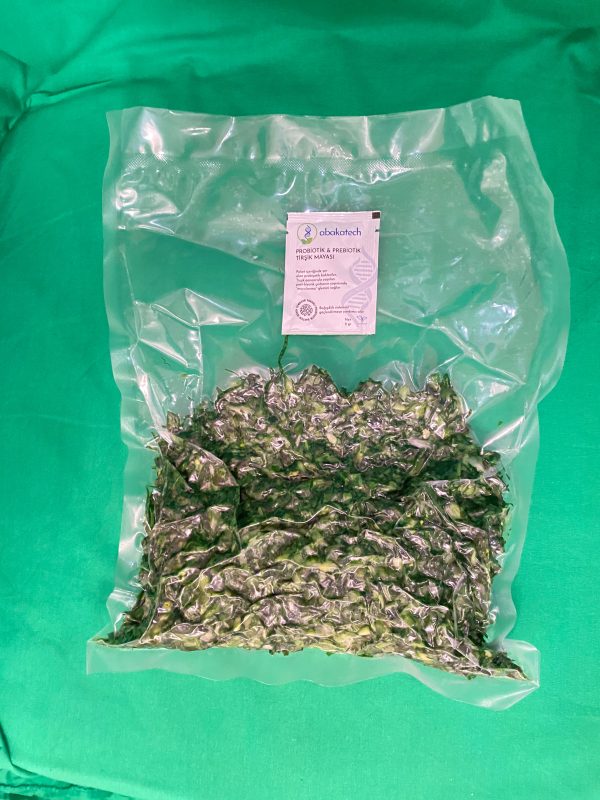 500 gr Cuckoo-pint (Arum maculatum) Chopped Freeze-dried and 1 Starter Culture-FIRST MOVE!
